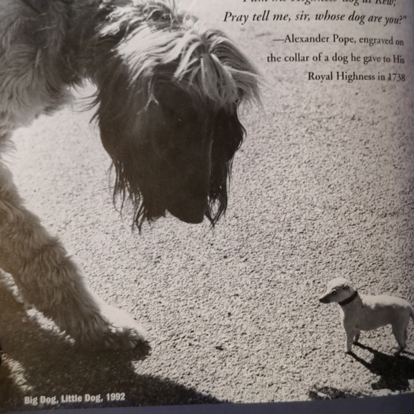 🌷🐕FREE in $25+ Bundle🐶 Book "My Love Unleashed" - Picture 7 of 9